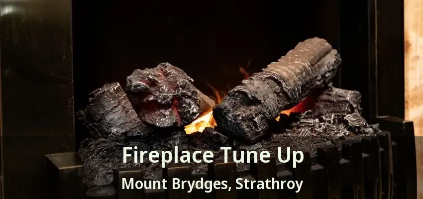 Fireplace Tune Up Mount Brydges, Strathroy - ON Fireplace Tune Up Mount Brydges, Strathroy - ON