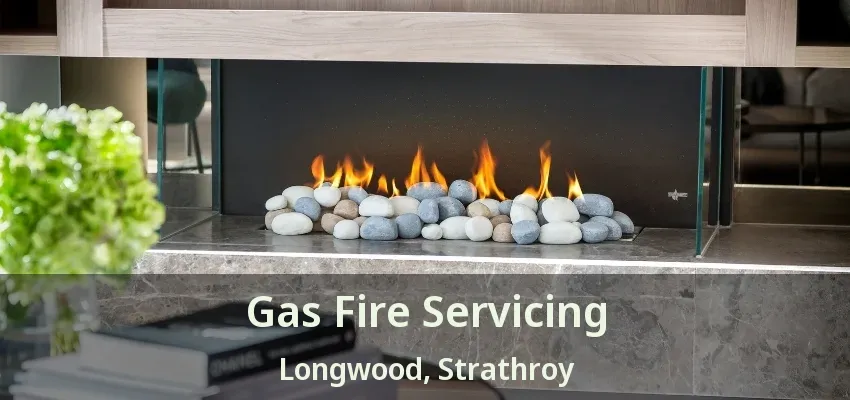Gas Fire Servicing Longwood, Strathroy - ON