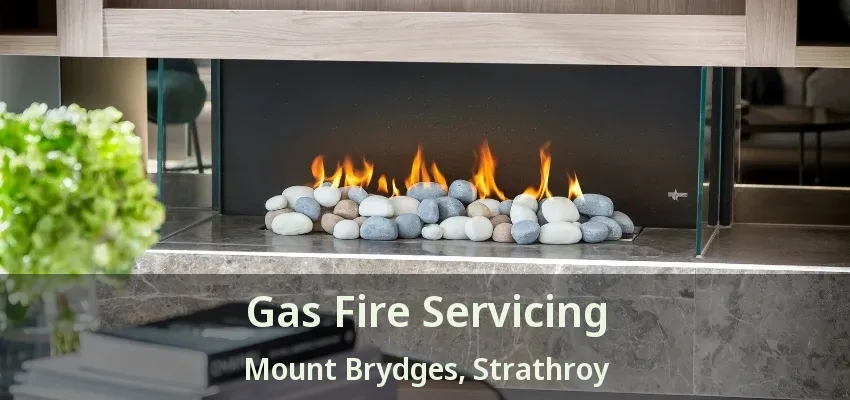 Gas Fire Servicing Mount Brydges, Strathroy - ON