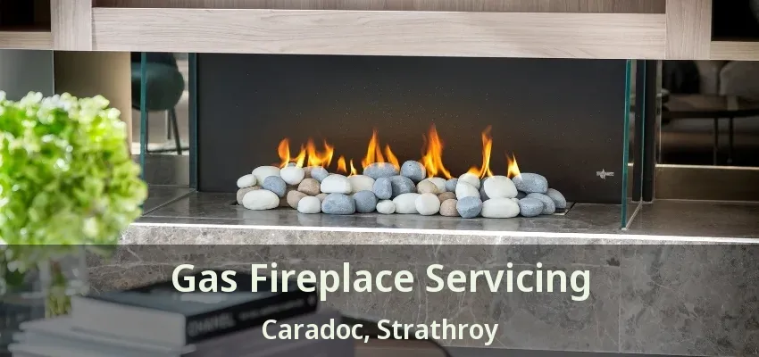 Gas Fireplace Servicing Caradoc, Strathroy - ON