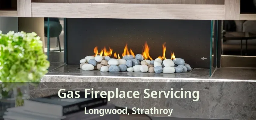 Gas Fireplace Servicing Longwood, Strathroy - ON