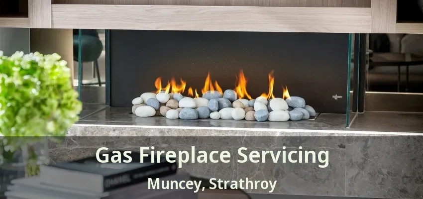 Gas Fireplace Servicing Muncey, Strathroy - ON Gas Fireplace Servicing Muncey, Strathroy - ON