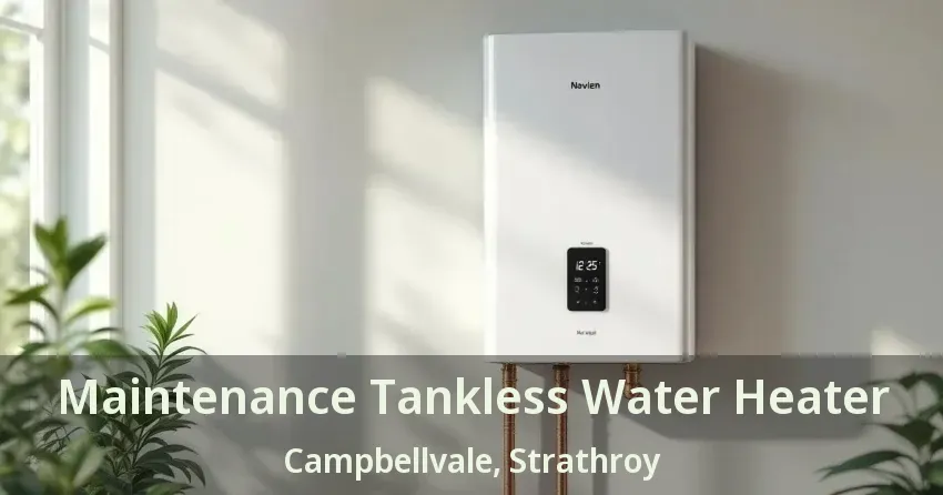Maintenance Tankless Water Heater Campbellvale, Strathroy - ON Maintenance Tankless Water Heater Campbellvale, Strathroy - ON