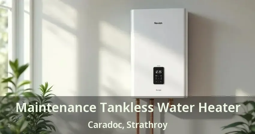 Maintenance Tankless Water Heater Caradoc, Strathroy - ON Maintenance Tankless Water Heater Caradoc, Strathroy - ON