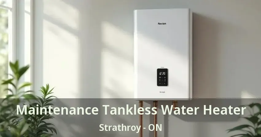 Maintenance Tankless Water Heater Strathroy - ON Maintenance Tankless Water Heater Strathroy - ON