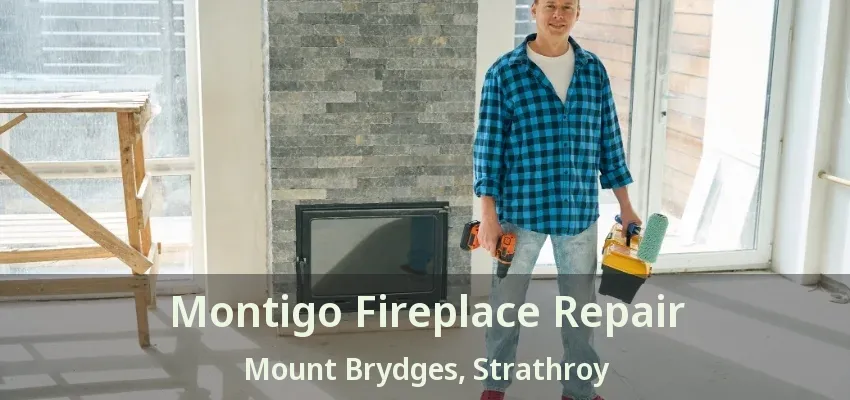 Montigo Fireplace Repair Mount Brydges, Strathroy - ON Montigo Fireplace Repair Mount Brydges, Strathroy - ON