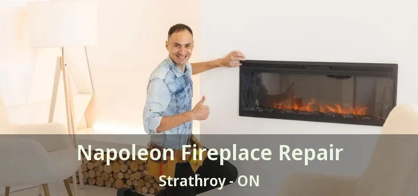 Napoleon Fireplace Repair Strathroy - ON Napoleon Fireplace Repair Strathroy - ON
