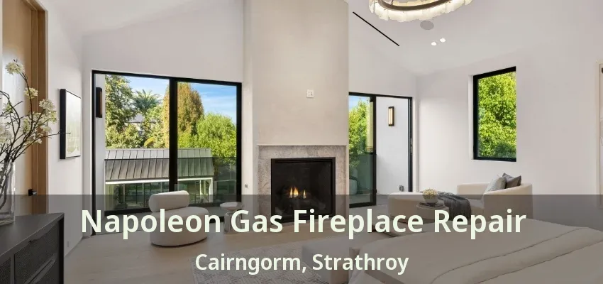 Napoleon Gas Fireplace Repair Cairngorm, Strathroy - ON