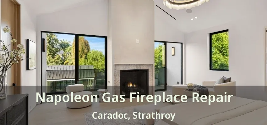 Napoleon Gas Fireplace Repair Caradoc, Strathroy - ON