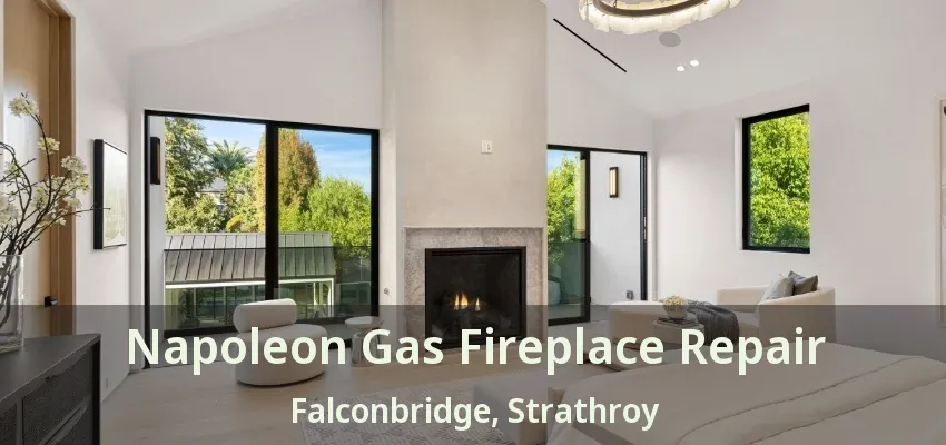 Napoleon Gas Fireplace Repair Falconbridge, Strathroy - ON Napoleon Gas Fireplace Repair Falconbridge, Strathroy - ON