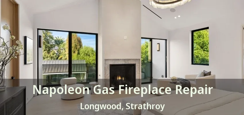 Napoleon Gas Fireplace Repair Longwood, Strathroy - ON Napoleon Gas Fireplace Repair Longwood, Strathroy - ON