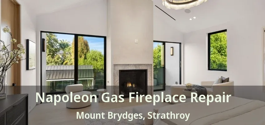 Napoleon Gas Fireplace Repair Mount Brydges, Strathroy - ON
