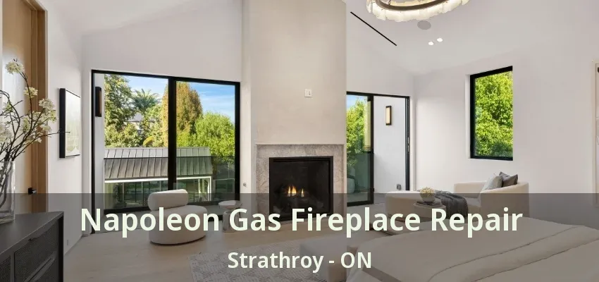 Napoleon Gas Fireplace Repair Strathroy - ON Napoleon Gas Fireplace Repair Strathroy - ON