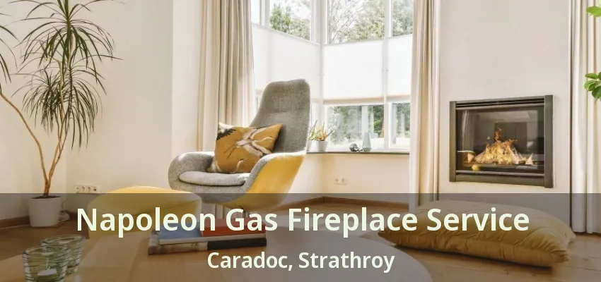 Napoleon Gas Fireplace Service Caradoc, Strathroy - ON Napoleon Gas Fireplace Service Caradoc, Strathroy - ON