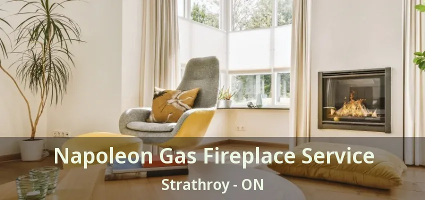 Napoleon Gas Fireplace Service Strathroy - ON Napoleon Gas Fireplace Service Strathroy - ON