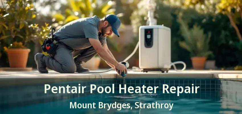 Pentair Pool Heater Repair Mount Brydges, Strathroy - ON Pentair Pool Heater Repair Mount Brydges, Strathroy - ON