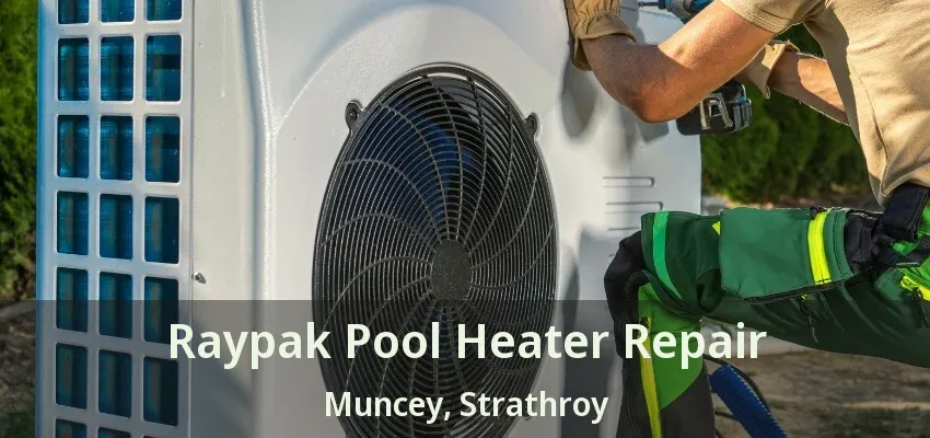 Raypak Pool Heater Repair Muncey, Strathroy - ON