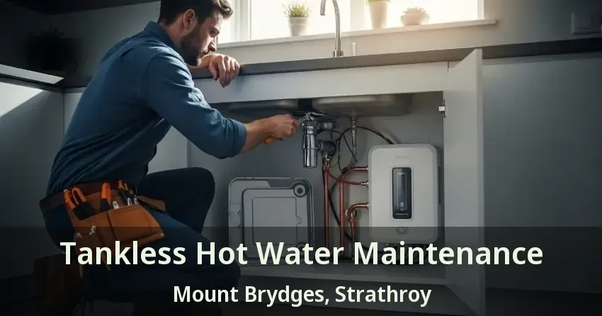 Tankless Hot Water Maintenance Mount Brydges, Strathroy - ON