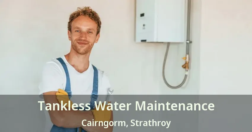 Tankless Water Maintenance Cairngorm, Strathroy - ON