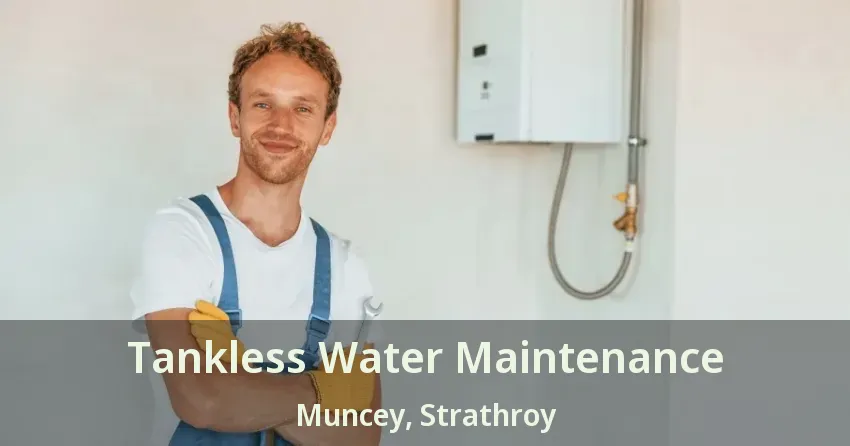 Tankless Water Maintenance Muncey, Strathroy - ON Tankless Water Maintenance Muncey, Strathroy - ON