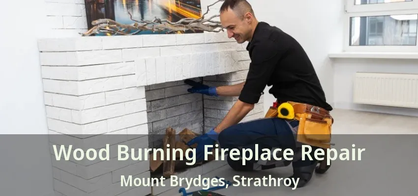 Wood Burning Fireplace Repair Mount Brydges, Strathroy - ON Wood Burning Fireplace Repair Mount Brydges, Strathroy - ON